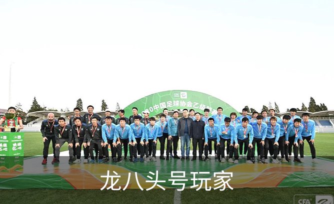 龙八头号玩家介绍